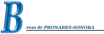 becas pronabe