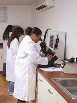 Colegio de Ciencias Ãpticas
