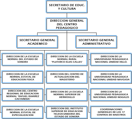 Estructura de Cepes