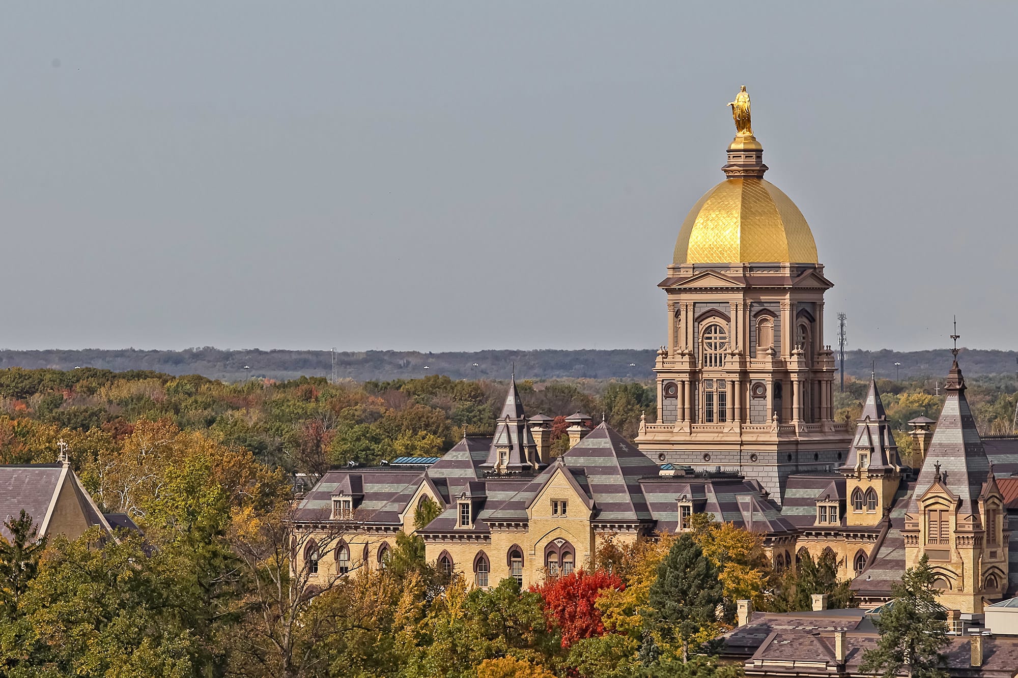 Universidad Notre Dame