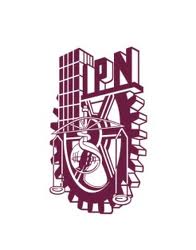 Instituto Politecnico Nacional - IngenierÃ­a RobÃ³tica Industrial